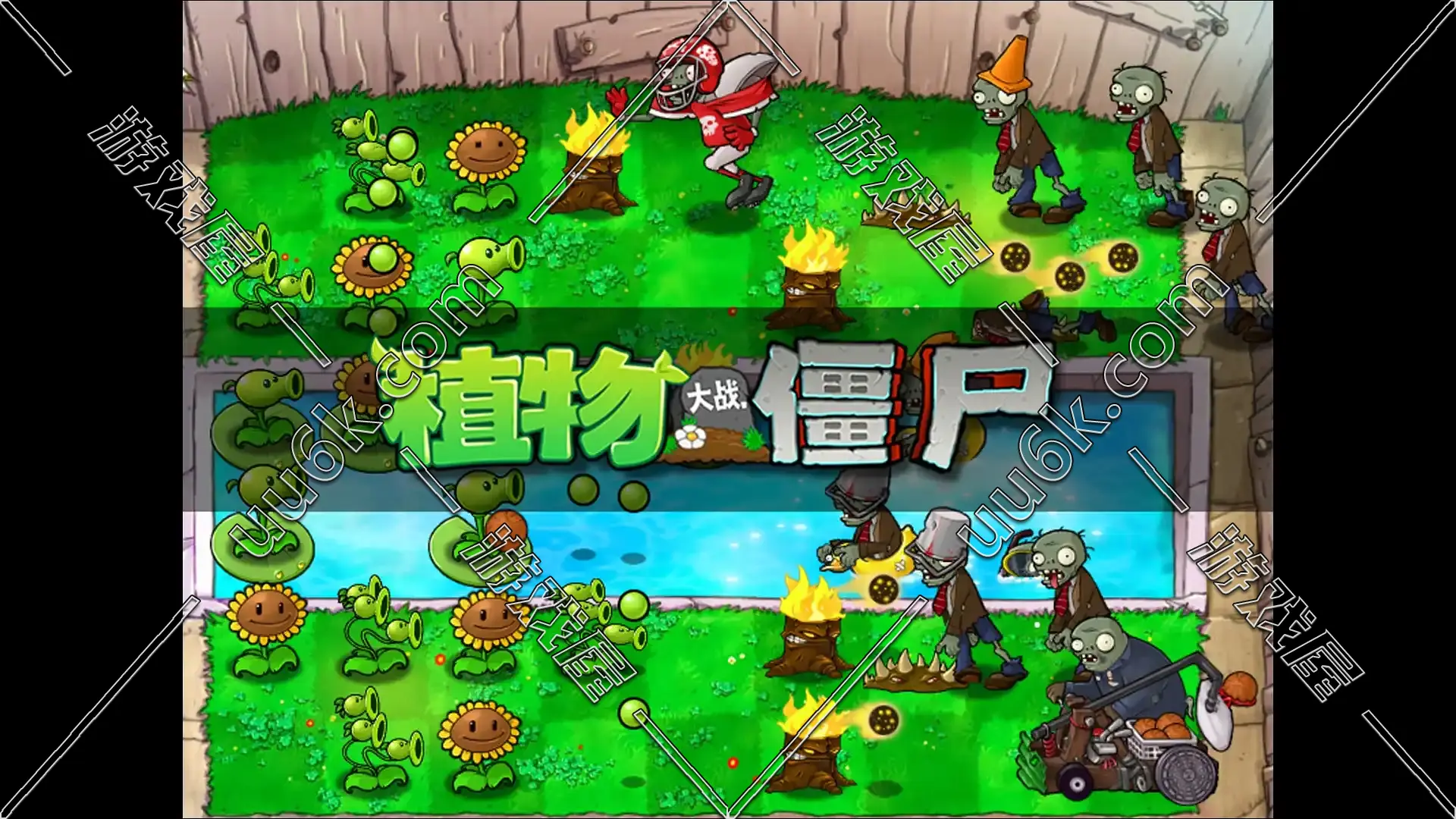 植物大战僵尸1 【电脑版】-5